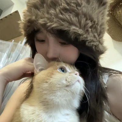 老鼠爱上猫